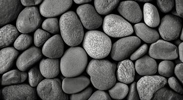 A collection of smooth black stones arranged on a flat surface with varied shapes and sizes photo