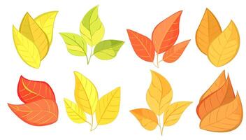 Various colorful autumn leaves in different shapes, illustrated in a vibrant graphic style on a white background, representing fall season. illustration vector