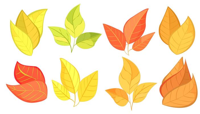 Various colorful autumn leaves in different shapes, illustrated in a vibrant graphic style on a white background, representing fall season. illustration