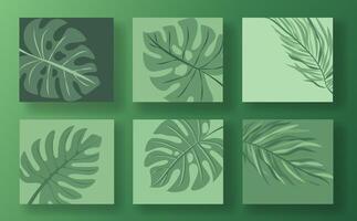 Set of six green leaf social media post templates on a light green background. Each template features different leaf designs in a minimalist, modern style. Concept of nature and botanical themes. vector