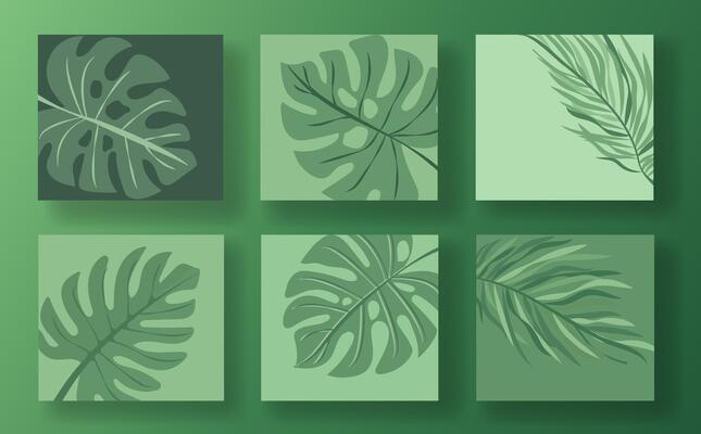 Set of six green leaf social media post templates on a light green background. Each template features different leaf designs in a minimalist, modern style. Concept of nature and botanical themes.