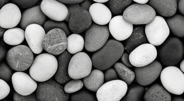 Varied collection of smooth stones in black and white, showcasing natural textures and shapes photo