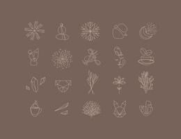 Set of modern natural signs drawing in minimalism line style to create your own design vector
