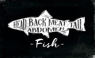 Fish cutting scheme lettering head, back meat, abdomen, tail in vintage style drawing with chalk on chalkboard background vector