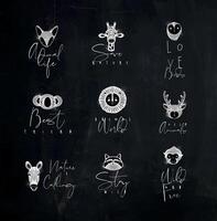 Set of animals authentic graphic signs fox, giraffe, owl, panda, lion, antelope, horse, cat, monkey with lettering drawing with chalk on chalkboard background vector