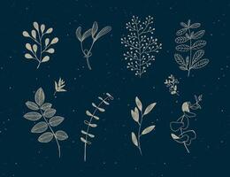 Set of graphic leaves and branches in floral style drawing in beige color on blue background vector