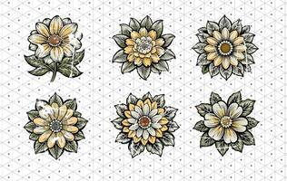 A set of six flowers with a fading tone of color in a polka dot background. vector