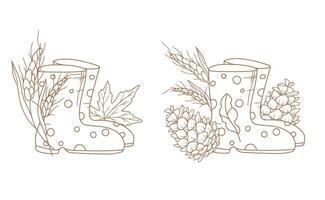Rain Boots with wheat spike and Leaves. Fall arrangements isolated on white. Boots line art ilustration. Fall Hand Drawn Outline. Fall Coloring Page. Traditional Thanksgiving Graphics vector