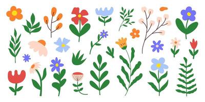 Floral set colorful botanical elements on a white background. Spring and summer groovy flowers, leaves, branches. vector
