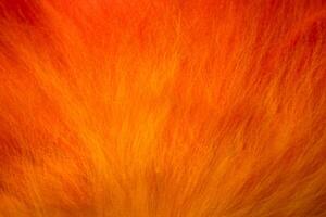Vibrant gradient wool texture in striking. Felting process. Laying out the wool fibers. Perfect for backgrounds, artistic compositions. Copy space photo