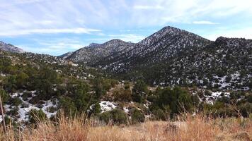 Mountains in the snow. The consequences of a snow cyclone with hail in the mountains of Arizona. Desert plants and cacti suffer from the cold video