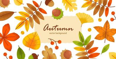 Autumn background with foliage for card, invitation or web banner. Greenery and floral elements in a contemporary style vector
