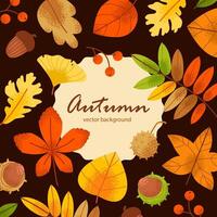 Autumn foliage with golden leaves and autumn plants. Template for a postcard, web banner or social networks. Autumn background vector