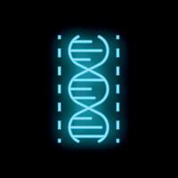 Neon icon of dna structure glowing on black background vector