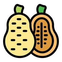 Two cacao pods showing seeds inside line color icon vector