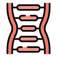 Dna structure connecting lines forming double helix shape for science and medical concepts vector
