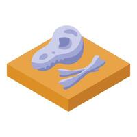 Paleontologist discovering dinosaur fossil with skeleton and skull vector