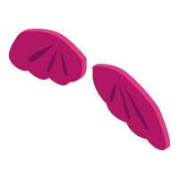 Two slices of delicious dragon fruit floating vector