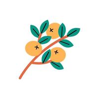 Tangerine branch. Hand drawn abstract oranges. Fresh juicy citrus fruit clip art. vector