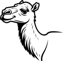 A camel head is drawn in black and white vector