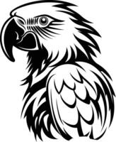 An eagle head with a black and white design vector
