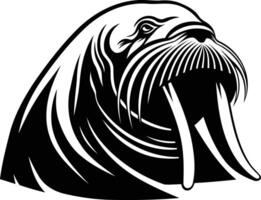 A walrus head with a long tusk on a white background vector