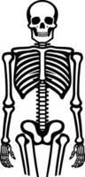 A skeleton is standing in front of a white background vector