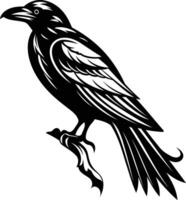 A black and white raven on a branch vector