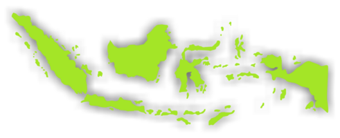 Indonesian Map in Green Color, Map of Indonesia, can use for App, Art Illustration, Website, Pictogram, Infographic or Graphic Design Element png