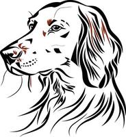 A dog with a long tail and a black and white vector