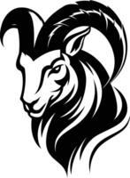 A ram head with horns on a white background vector