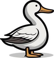 A cartoon duck standing on a white background vector