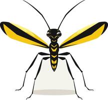 A black and yellow wasp insect vector