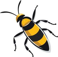 A black and yellow bug with a black and yellow stripe vector