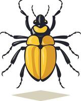 A beetle with black and yellow stripes on its back vector