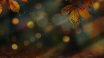 A serene autumn park path, lined with trees and covered in fallen leaves, creating a peaceful, seasonal atmosphere video