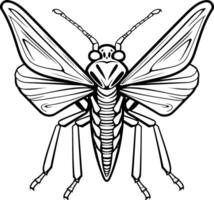 A black and white drawing of a bug vector