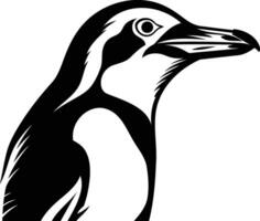 A penguin is standing in front of a white background vector