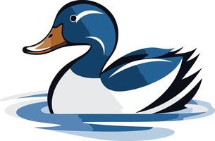 A duck swimming in the water on a white background vector