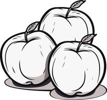 Three apples on a white background vector