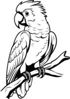 A parrot sitting on a branch coloring page vector