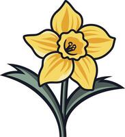 A yellow daffodil flower on a white background vector