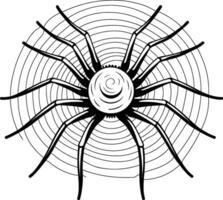 Spider web coloring pages vector