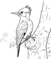 A coloring page of a bird sitting on a tree branch vector