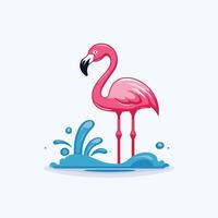 Flamingo in the water vector