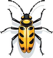A bug with black and yellow stripes vector