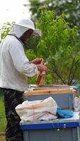 Beekeeper works at apiary. Man in protective clothes checks beehives and honeycombs. Apiculture concept. from side. Vertical video