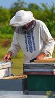 Beekeeper collects honey at apiary. Man dressed in protective white uniform. Summer garden background. Apiary on fresh air. Vertical video