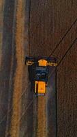 Yellow big combine works on field with grain. Agricultural technic gathers crop. from above. Vertical video