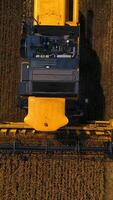 Large view on yellow combine. Special technic in field. Modern machinery in gold wheat. from above. Vertical video